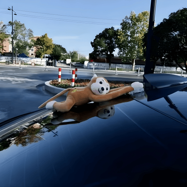 🐒 Tailwind Monkey Squad —— Your Playful Travel Companions!