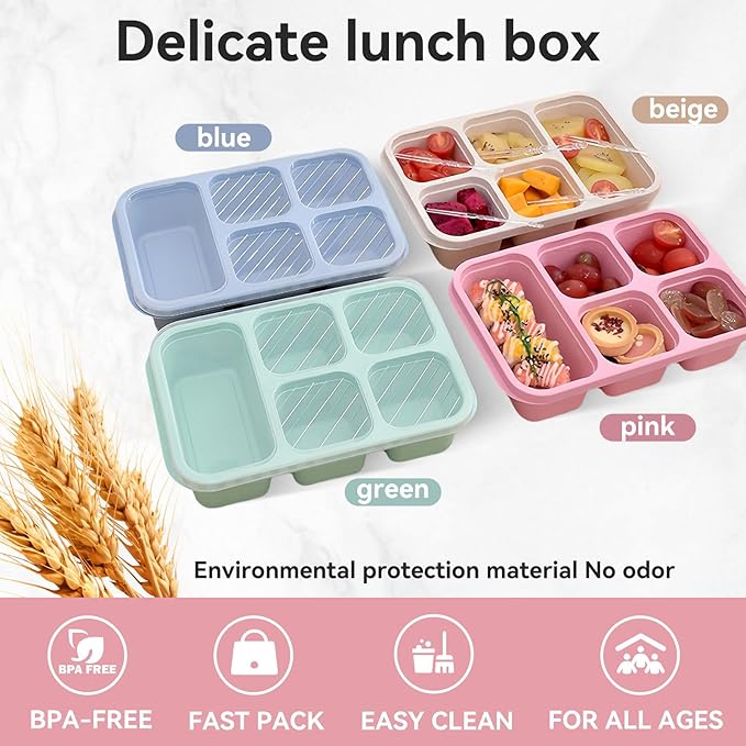 Bento Snack & Meal Prep Containers
