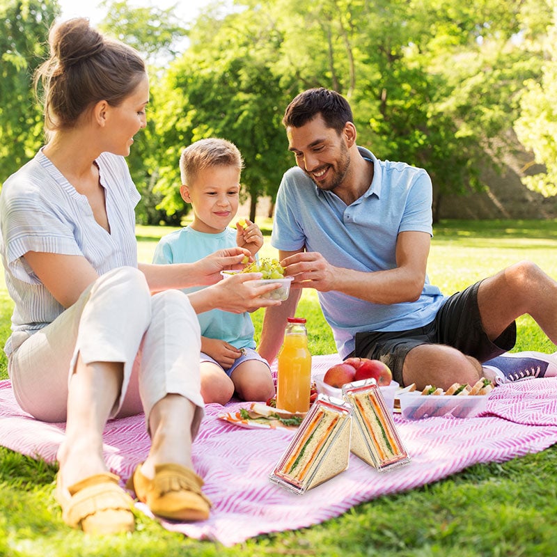 🥪Triangle Sandwich Container✨