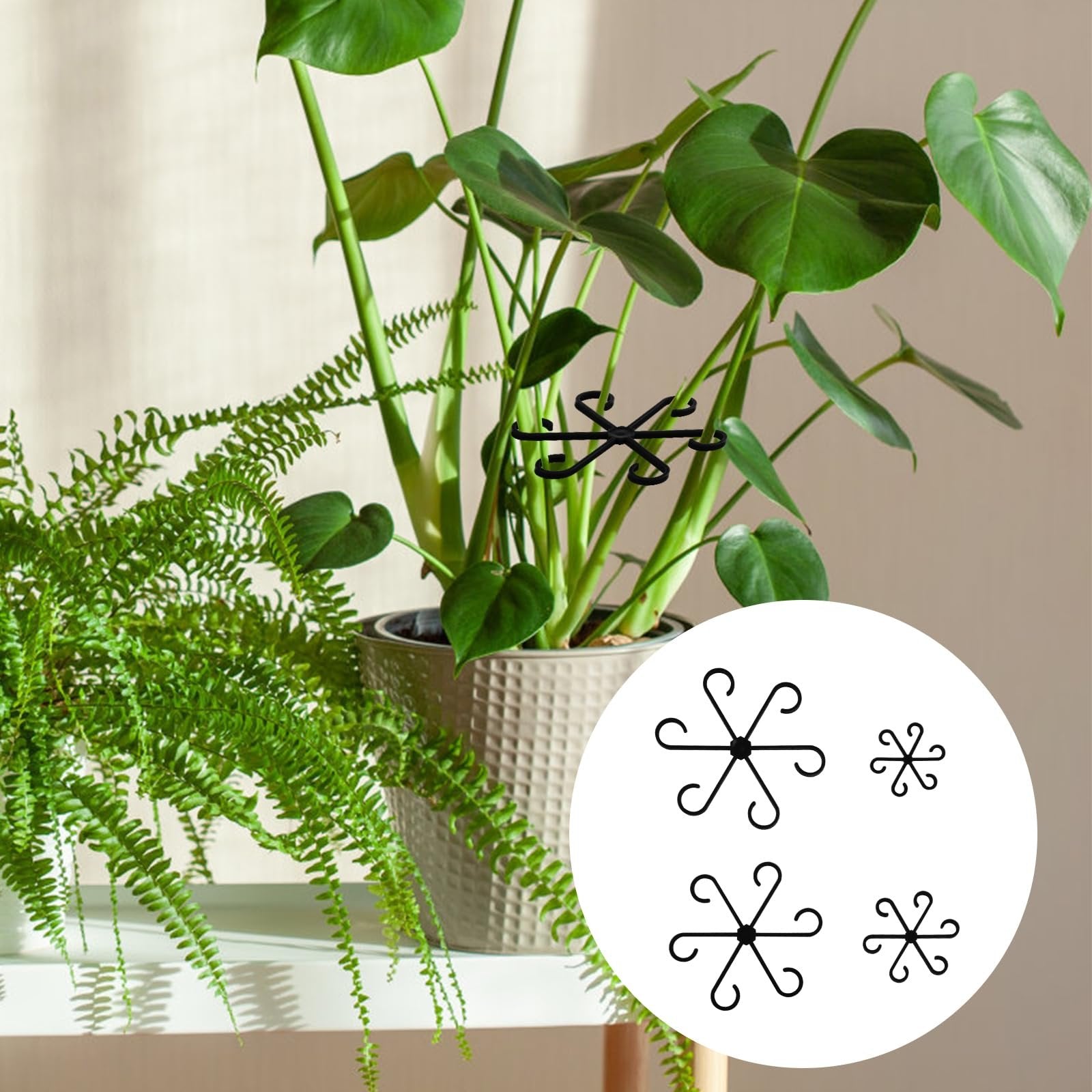 Climbing Houseplant Stem Supports - Perfect Growth Solution for Your Plants