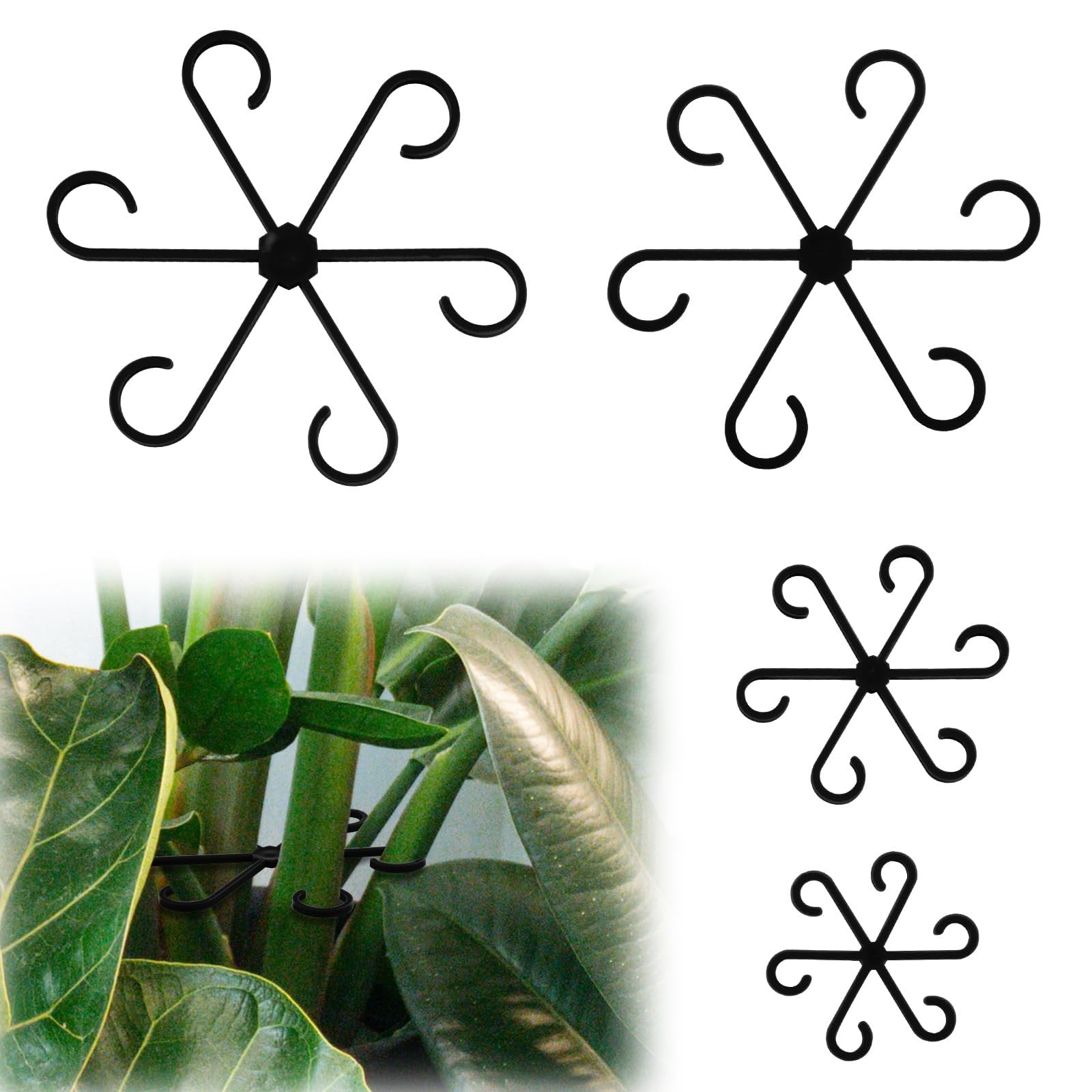 Climbing Houseplant Stem Supports - Perfect Growth Solution for Your Plants