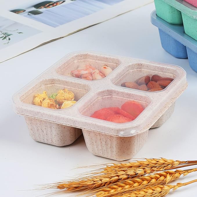 Bento Snack & Meal Prep Containers