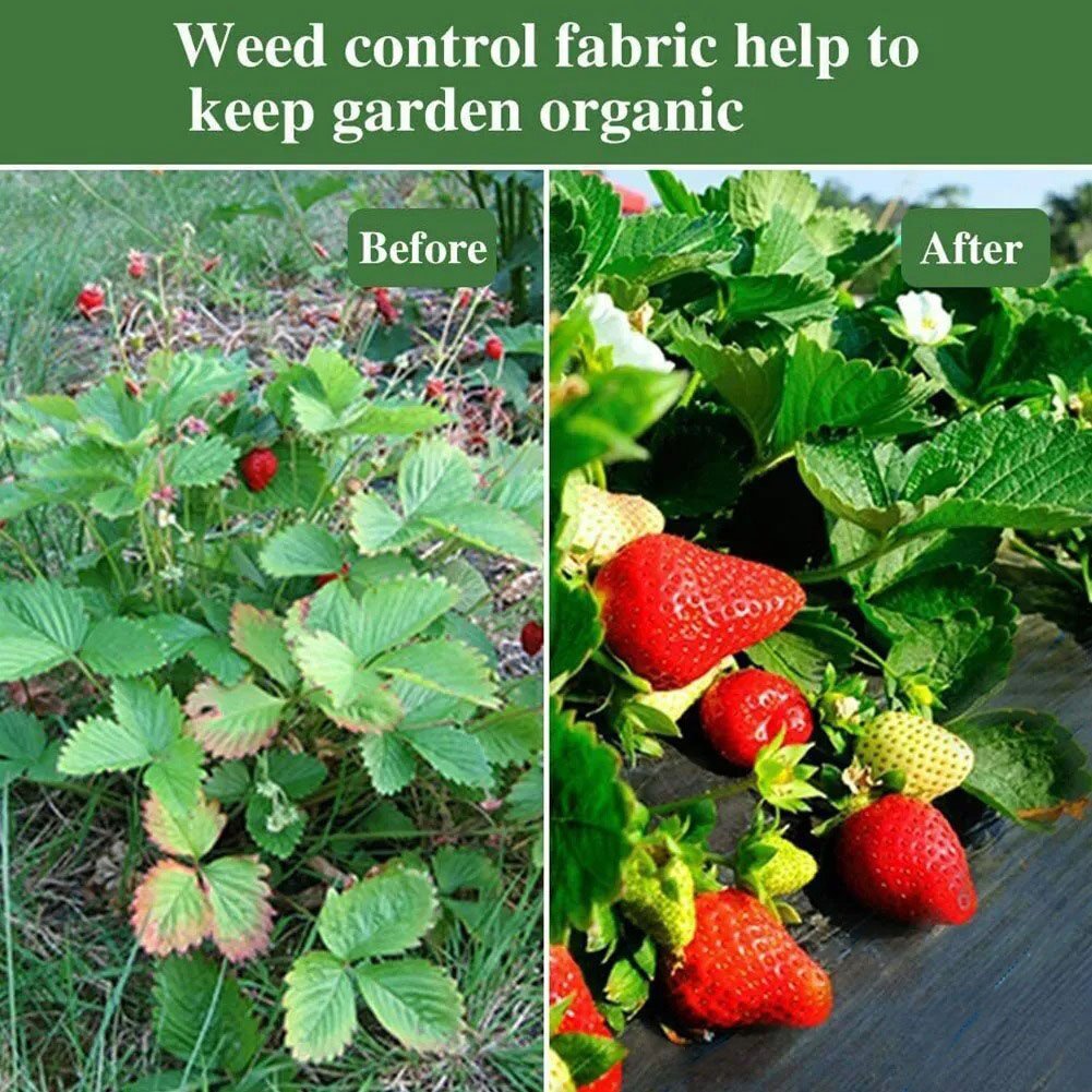 Eco-Friendly & Biodegradable Anti-Grass Cloth for Gardens and Landscaping