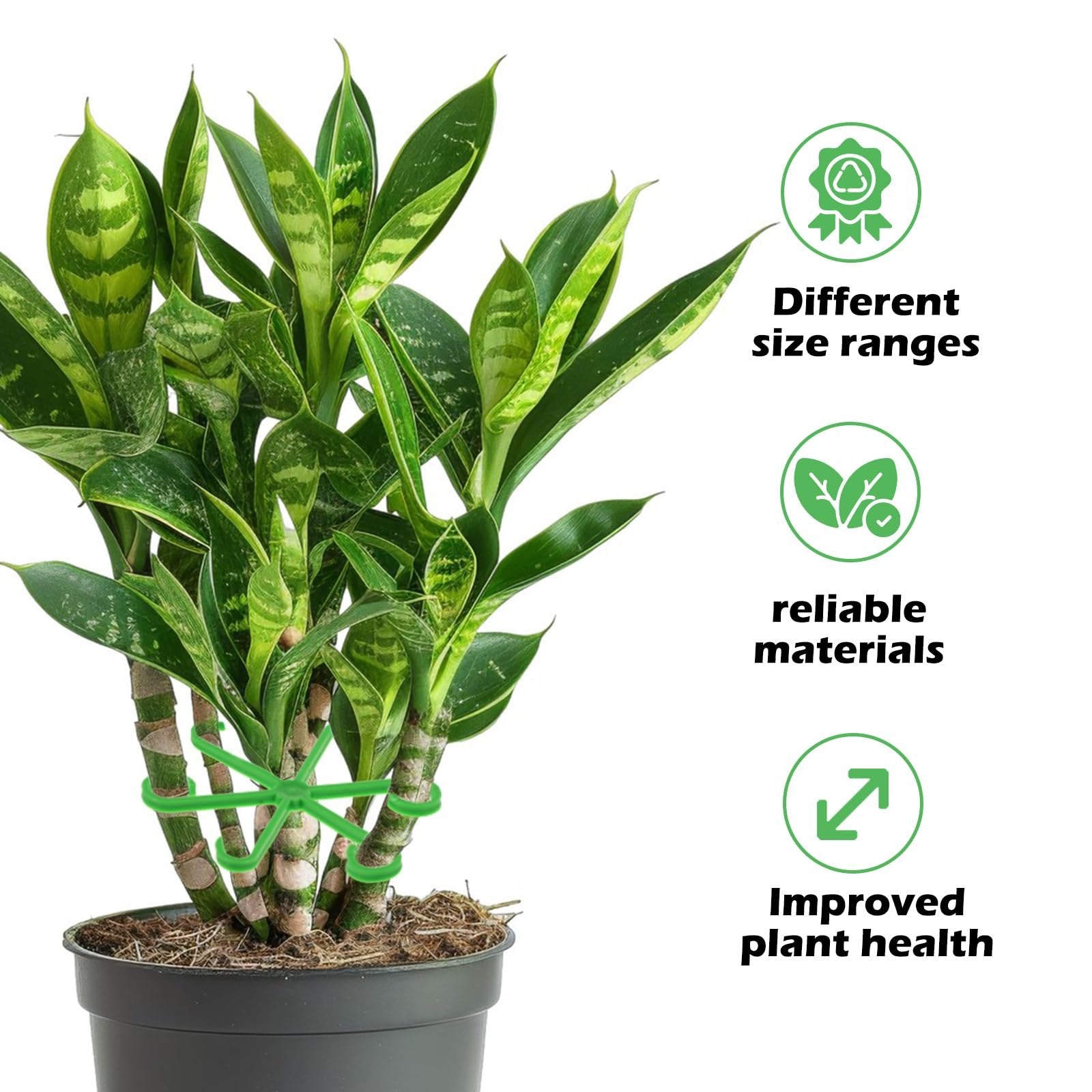 Climbing Houseplant Stem Supports - Perfect Growth Solution for Your Plants