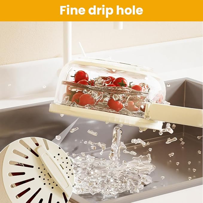 2024 New 2-in-1 Drainer and Strainer | Multi-Function Basket with Lid & Collapsible Handle