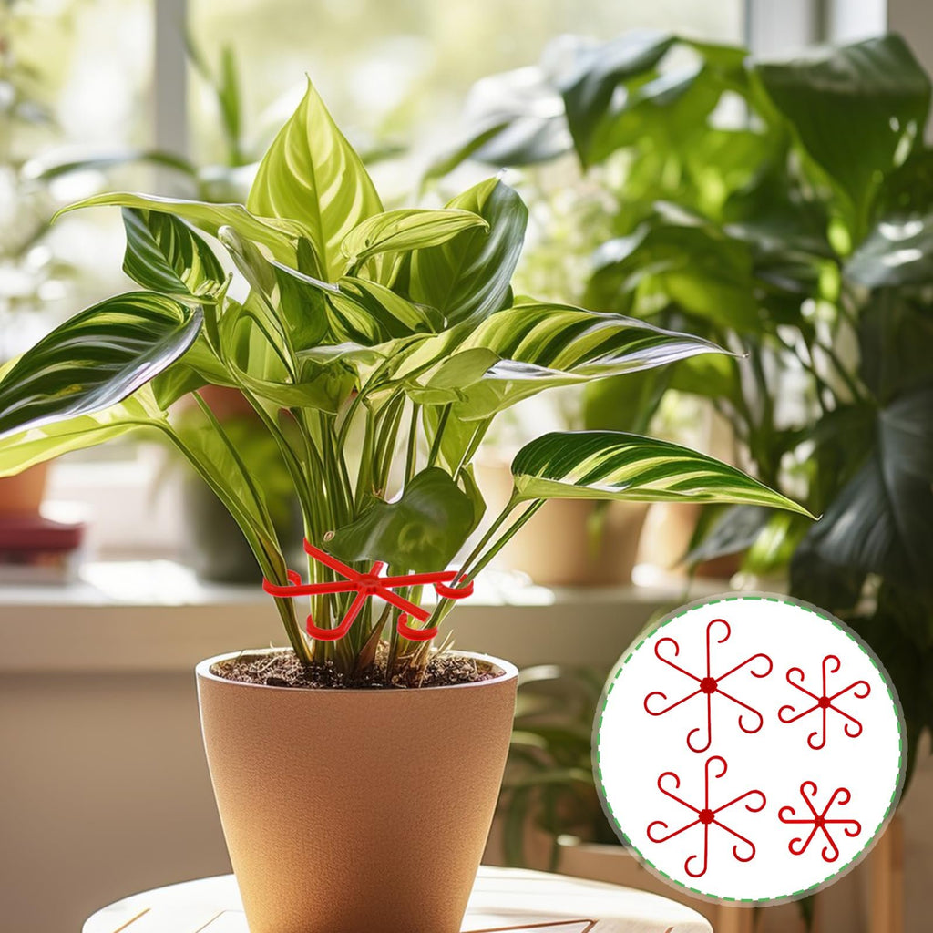 Climbing Houseplant Stem Supports - Perfect Growth Solution for Your Plants